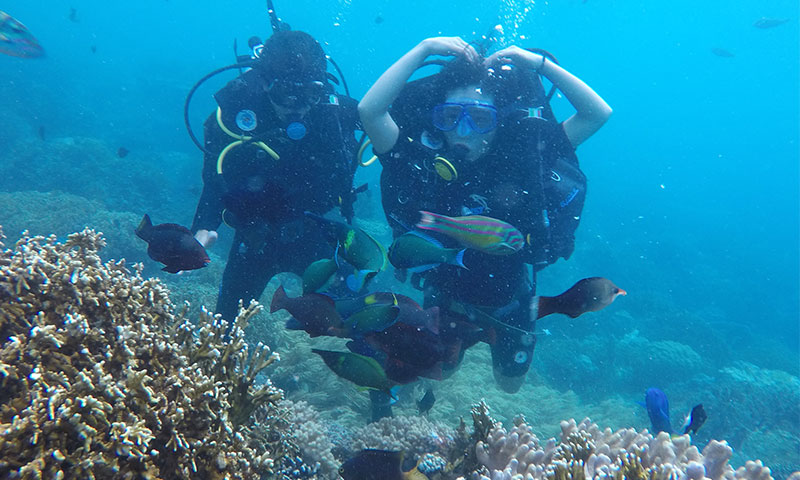 Scuba diving Nha Trang