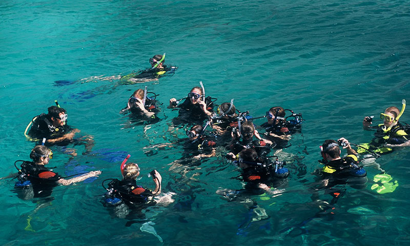 Snorkeling Nha Trang